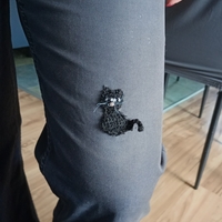 апликация за дрехи коте