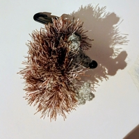 ключодържател таралеж