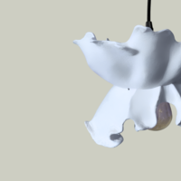 Blossom Drift