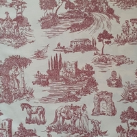 Фигурална завеса памук TOILE RED