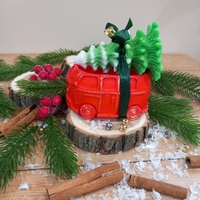 Коледно бусче селха