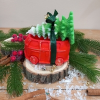 Коледно бусче селха