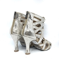 Silver Boots