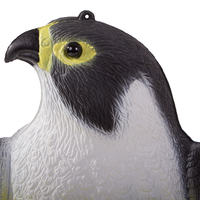 Птицегон Falcon на скорци гълъби и мишки