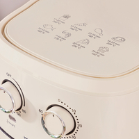 Фритюрник без Мазнина InnovaGoods Vynner Pro 6500 Неръждаема стомана Сметана 1700 W 6,5 L