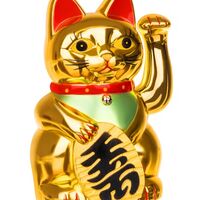 Китайска котка - златна