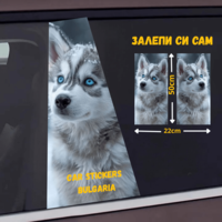 СТИКЕР № 383