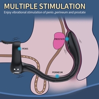 Multifunctional Prostate Massager with Penis Ring and Anal Hook – App Control for Maximum Stimulation