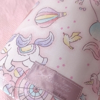 Pointe Shoes Case_Sugar Wonderland