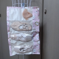 Pointe Shoes Case_Baby Bird