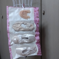 Pointe Shoes Case_Pink Roses