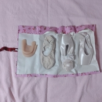 Pointe Shoes Case_Pink Roses
