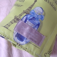 Pointe Shoes Case_French Lady(Blue)