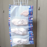 Pointe Shoes Case_British Garden