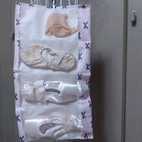Pointe Shoes Case_Elegant Ribbon(Pink)