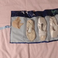 Pointe Shoes Case_Dreamy Dream