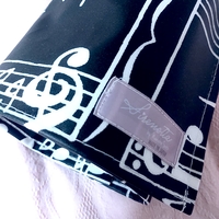 Pointe Shoes Case_Marching Notes