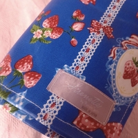 Pointe Shoes Case_British Garden