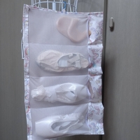 Pointe Shoes Case_Sugar Wonderland