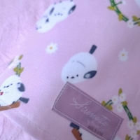 Pointe Shoes Case_Baby Bird