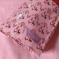 Pointe Shoes Case_Bambi Girl