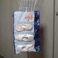 Pointe Shoes Case_Dreamy Dream