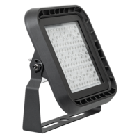 Професионален LED прожектор димиращ 1-10V DC IP66  220V-240V AC 60° 100W 5000K SMD 3030