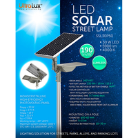 LED Соларна улична лампа IP66  12.8V 140x85 30W 4000K SMD 5050