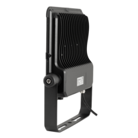 Професионален LED прожектор IP66 IK06  220V-240V AC 30° 100W 5000K SMD 2835