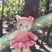 Коте