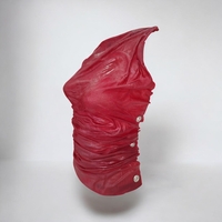 CRIMSON FLAME CORSET