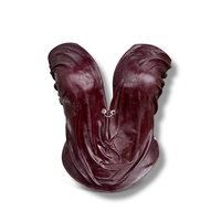 CRIMSON THORN CORSET