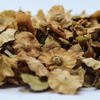 Organic JERUSALEM THORN BERRIES | Paliurus Spina Christi | Christ's Thorn Berries | Christ Thorn Tea | Herbal Tea | Herba | Tea