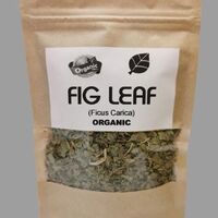 Organic FIG LEAF | Ficus Carica Folia | Fig Leaf Tea | Herbal Tea | Dried Leaves | Health Remedy | Dried Herbs | Natural Tea  Dried Bulk Tea