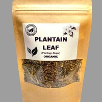 Organic PLANTAIN LEAF | plantago major | plantain tea | herbal tea | dried herbs | organic herbs | herba | tea | organic bulk herb