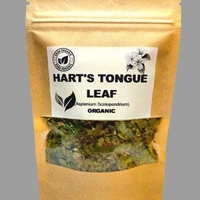 Organic HART'S TONGUE LEAF | asplenium scolopendrium | hart's tongue fern leaf | harts tongue tea | herbal tea | organic herbs | herba | tea