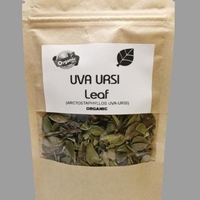 Organic UVA URSI LEAF | Arctostaphylos Uvaursi | Uva Ursi Tea | Dried Leaf | Organic Herbs | atural Organic Tea | Organic Dried Herb
