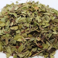 Organic UVA URSI LEAF | Arctostaphylos Uvaursi | Uva Ursi Tea | Dried Leaf | Organic Herbs | atural Organic Tea | Organic Dried Herb