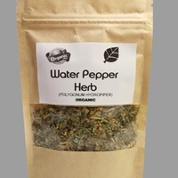 Organic WATER PEPPER HERB (Polygonum hydropiper) – Natural Anti-inflammatory & Antibacterial Remedy