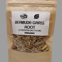 Organic BERMUDA GRASS ROOT | Cynodon Dactylon | Bermuda Grass Root Tea | Herbal Tea | Herba | Tea | Dried Root | Organic Root | Organic Herb