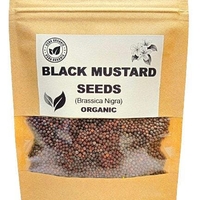 Organic black mustard seeds | brassica nigra | black mustard tea | seeds | dried seeds | organic seeds | organic herb | herba tea | semens
