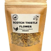 Organic SCOTCH THISTLE FLOWER | onopordum acanthium | scotch thistle tea | herbal tea | dried flower | herba | tea | organic herbs | flower