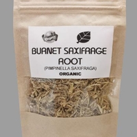 Organic BURNET SAXIFRAGE ROOT | Pimpinella Saxifraga | Burnet Saxifrage Root Tea | Herbal Tea | Herba | Tea | Organic Root | Organic Herbs