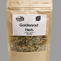 Organic GOLDENROD HERB | Solidago virgaurea | Natural Herbs Remedy | Natural Organic Tea | Goldenrod Tea | Herbal Tea | Herba | Tea