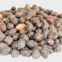 Organic SAW PALMETTO BERRIES | Serenoa repens | Serenoa repens | Dried Herbal Berry for Wellness Organic Saw Palmetto Berry | Herba
