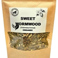Organic SWEET WORMWOOD | artemisia annua | sweet annie tea | artemisia annua tea | herbal tea | organic herbs | dried herbs | herba | tea