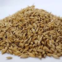 Organic BARLEY SEEDS | Hordeum vulgare | Barley Tea | Herbal Tea | Dried Seeds | Organic Seeds | Organic Herb | Semens  | Dried Herbs | Tea