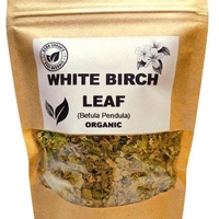 WHITE BIRCH LEAF | Betula pendula | B. alba – Natural Detox & Immune Support