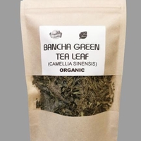 Organic BANCHA GREEN TEA | Camellia Sinensis | Herbal Tea | Dried Herbs | Organic Herbs | Herba | Organic Herb Tea | Dried Bulk Tea