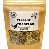 Organic Yellow Toadflax Herb (Linaria vulgaris)